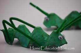 20200705 locusts egg box